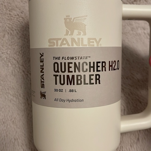 Stanley Tumbler - Quencher H2O 30 ounce - cream - Picture 2 of 5